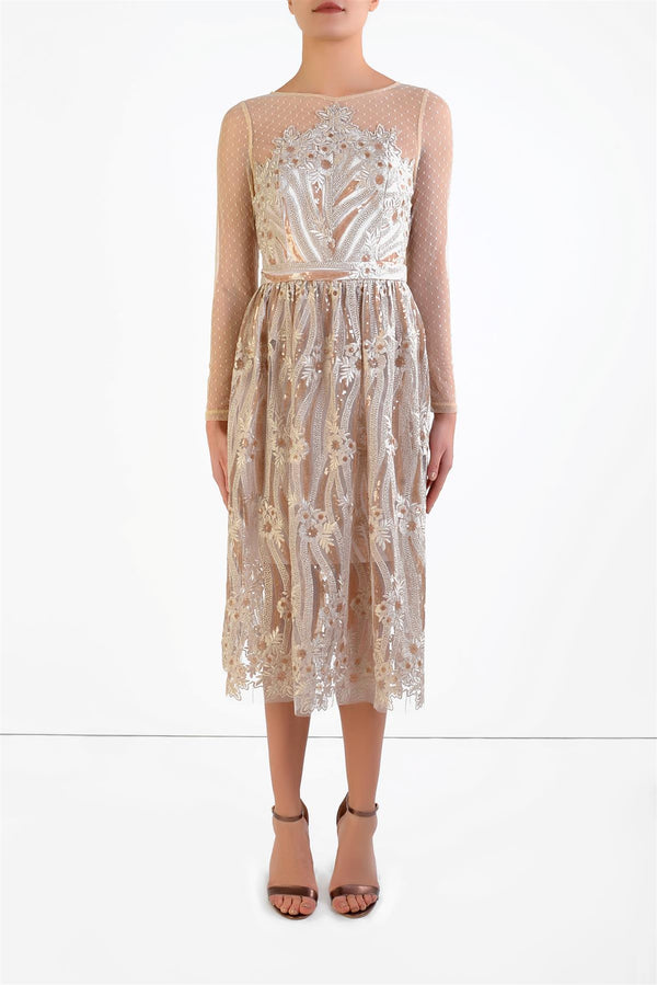 Lilly Nude Embroidered Mesh Midi Dress