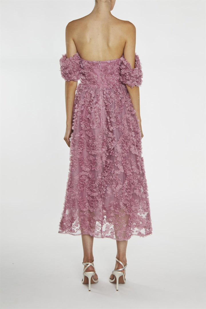 knee length dresses for ladies Amelia Dusty Rose Bardot Bust Cup Midi Dress